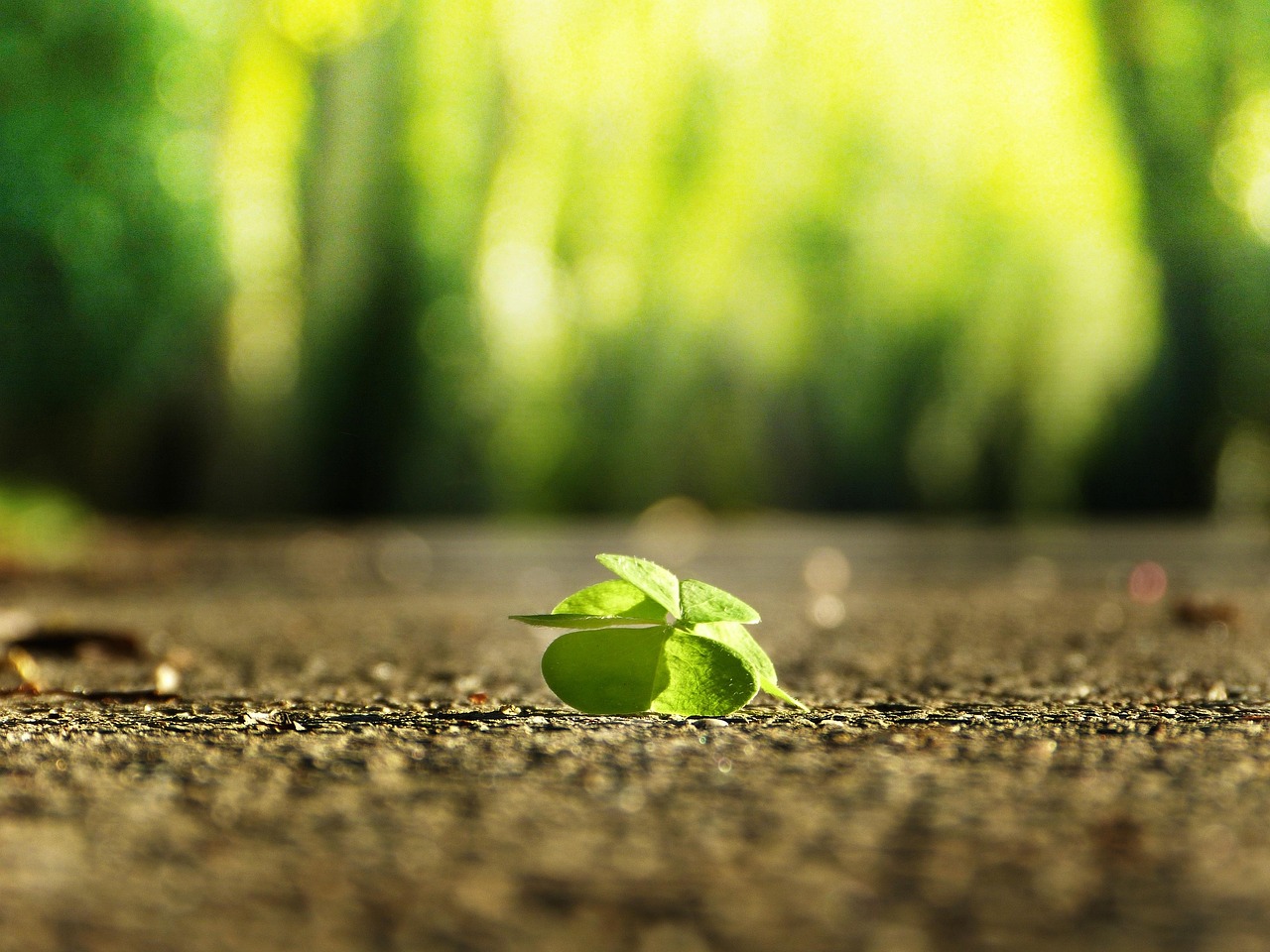 Well-Being Practices & Life Satisfaction